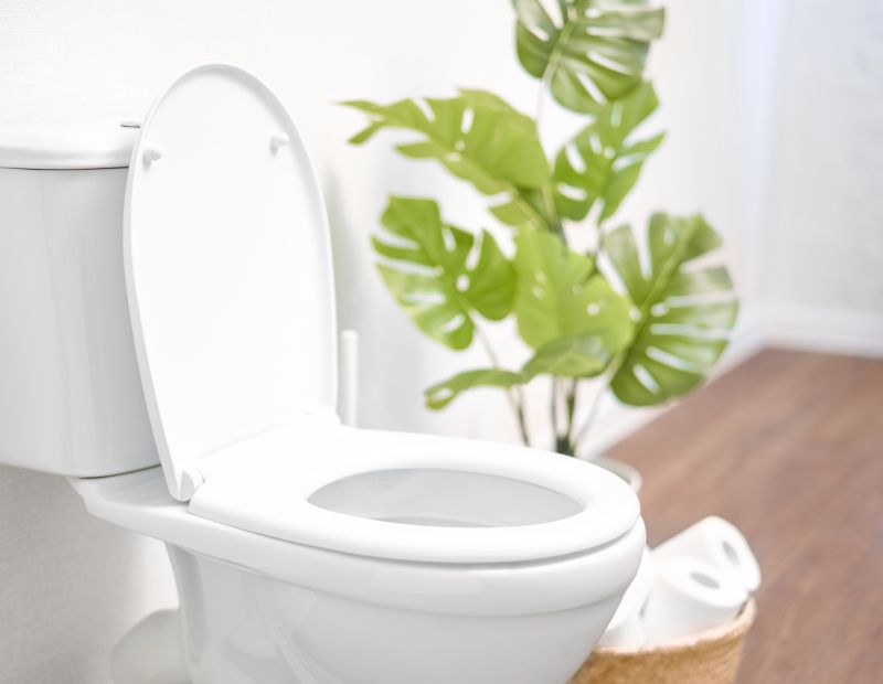 Commercial Toilet Installation