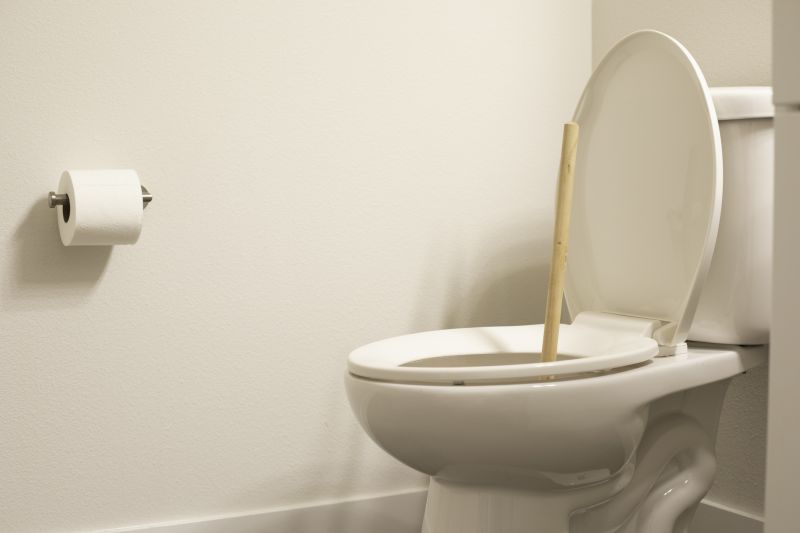 Toilet Plunging