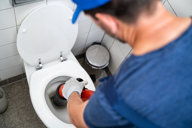 Toilet Plunging