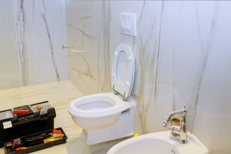 Toilet Replacement