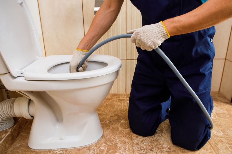 Toilet Snaking