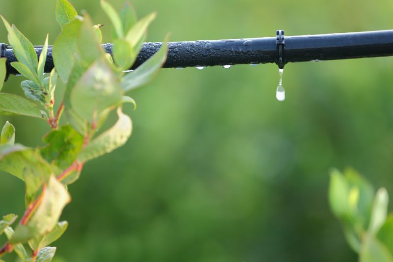 Water Line Replacement